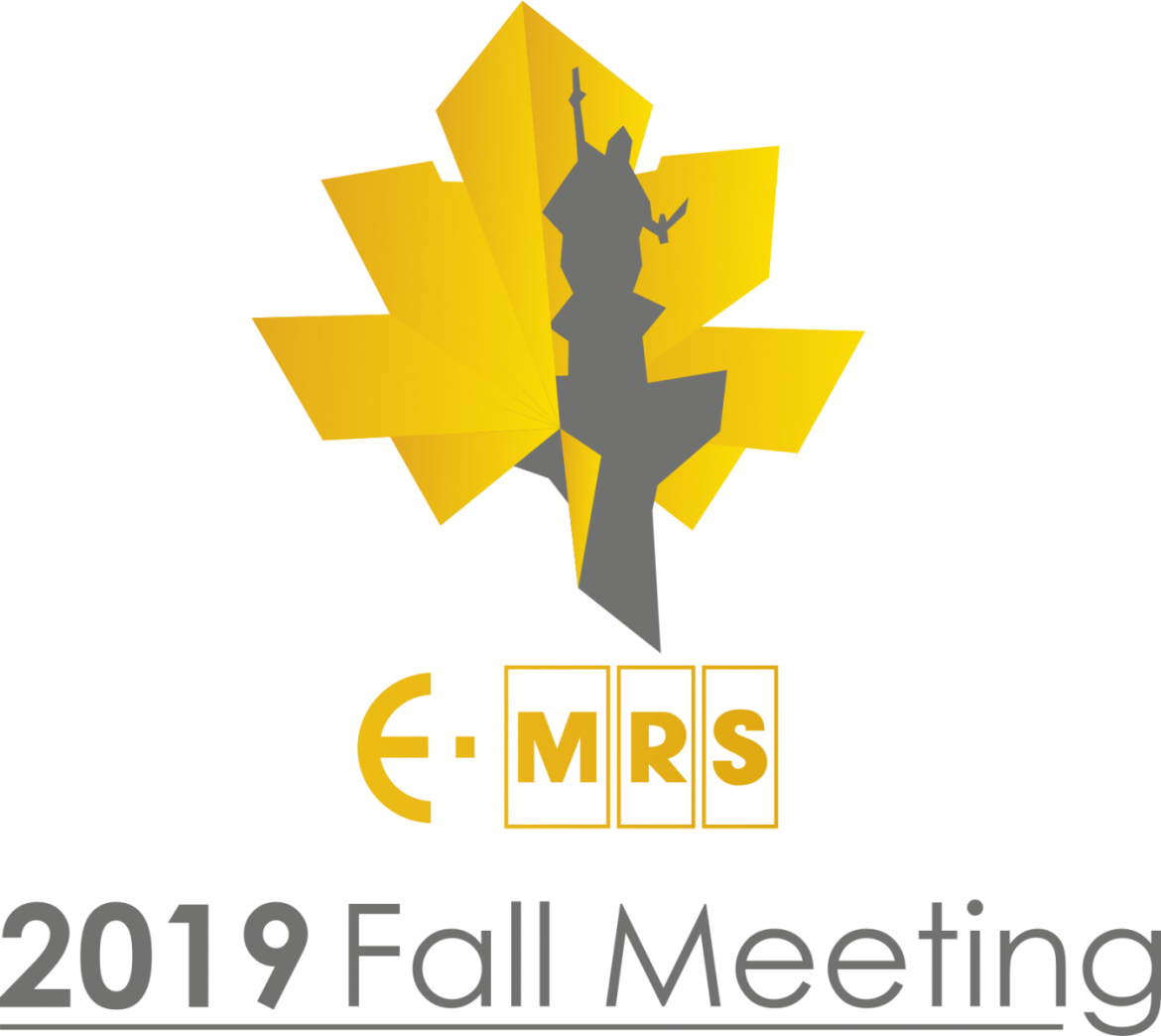 EMRS Fall 2019 Symposium D (Warsaw, September 1619) Call for papers